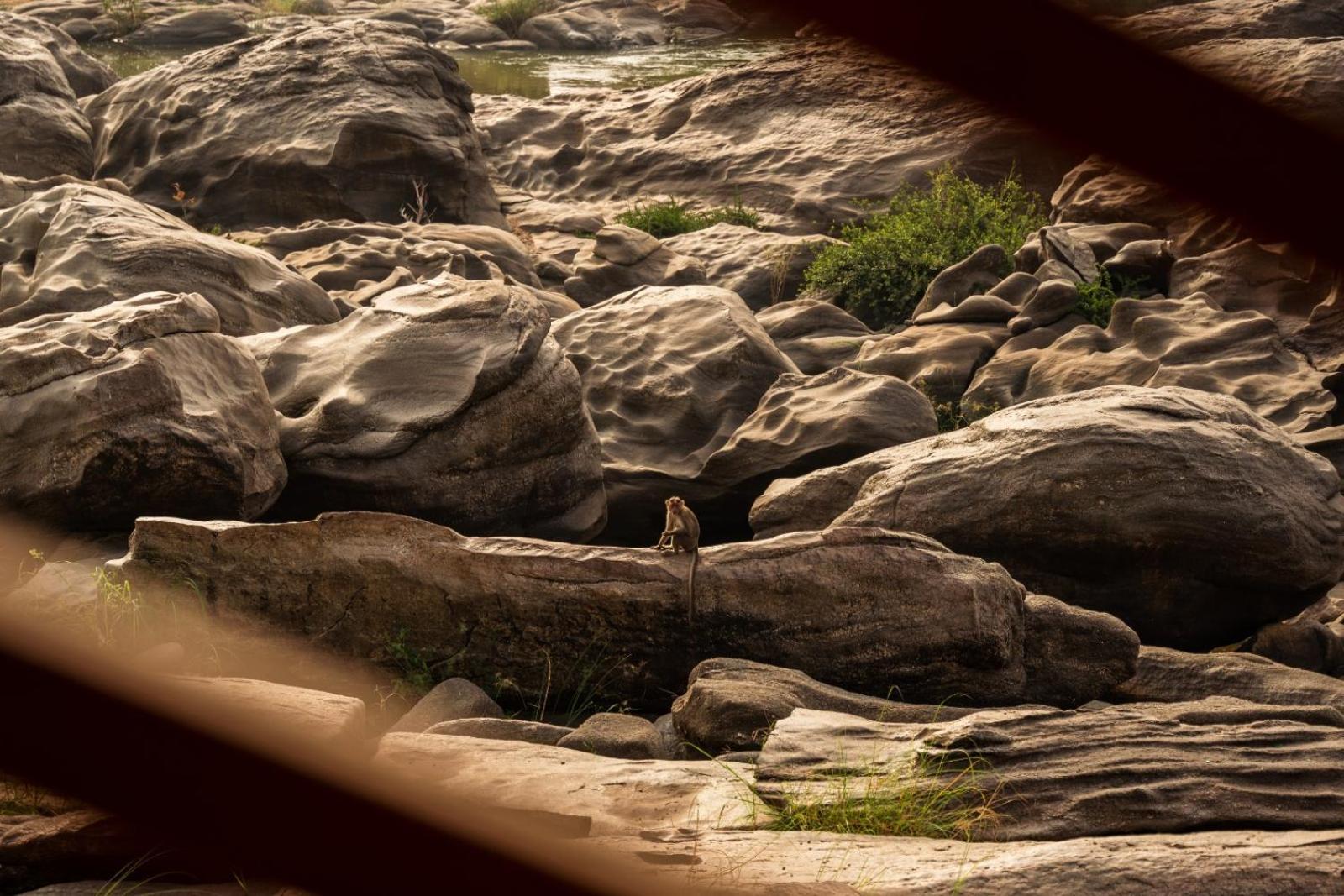 Hotel Leo Woods Hampi River View Zewnętrze zdjęcie